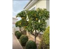 Wederverkoop - Villa - Ciudad Quesada - Lo Marabu
