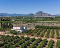 Wederverkoop - Villa - Denia - Dénia