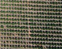 Wederverkoop - Villa - Denia - Dénia