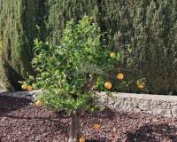 Wederverkoop - Villa - Moraira - El Portet