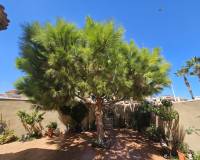 Wederverkoop - Villa - Torrevieja - Torre La Mata