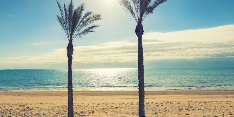 LOOKING TO SELL YOUR PROPERTY IN GUARDAMAR DEL SEGURA