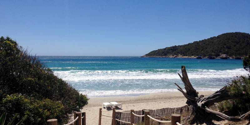 What Areas In Spain Are Most Popular For Swedish Buyers?