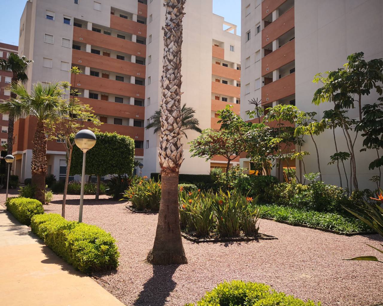 Venta - Apartment - Guardamar Del Segura - SUP-7 & PUERTO